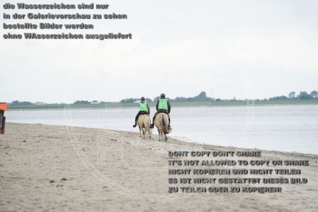 s_K3F04776.JPG